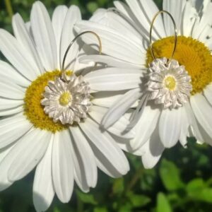 Pendientes Margarita