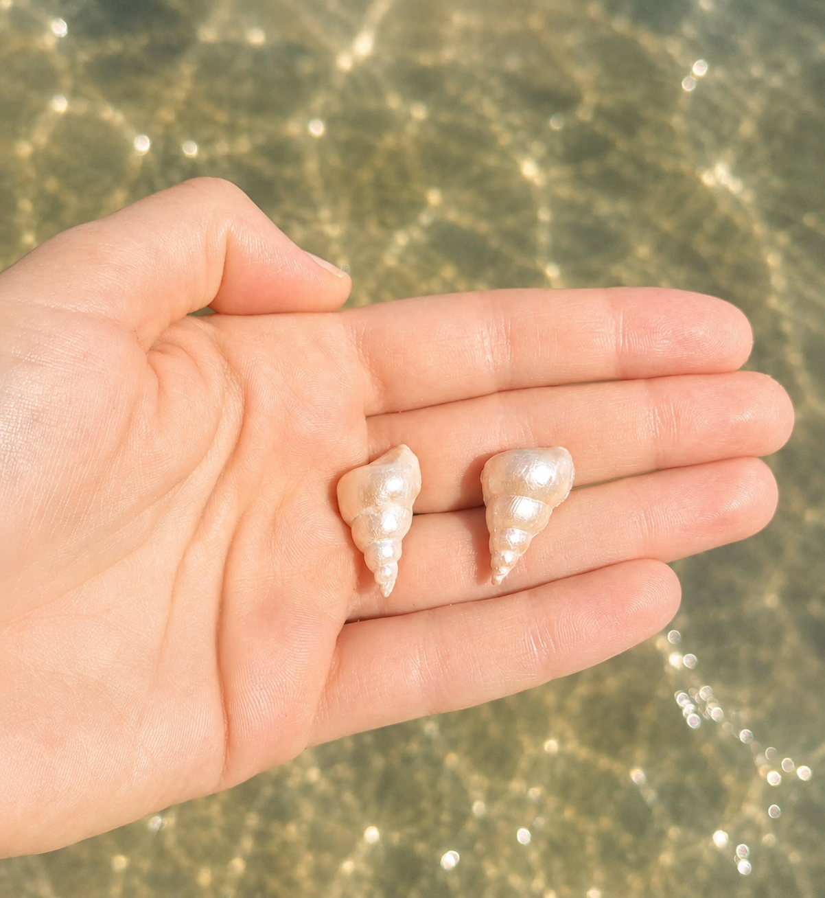 Pendientes Coral