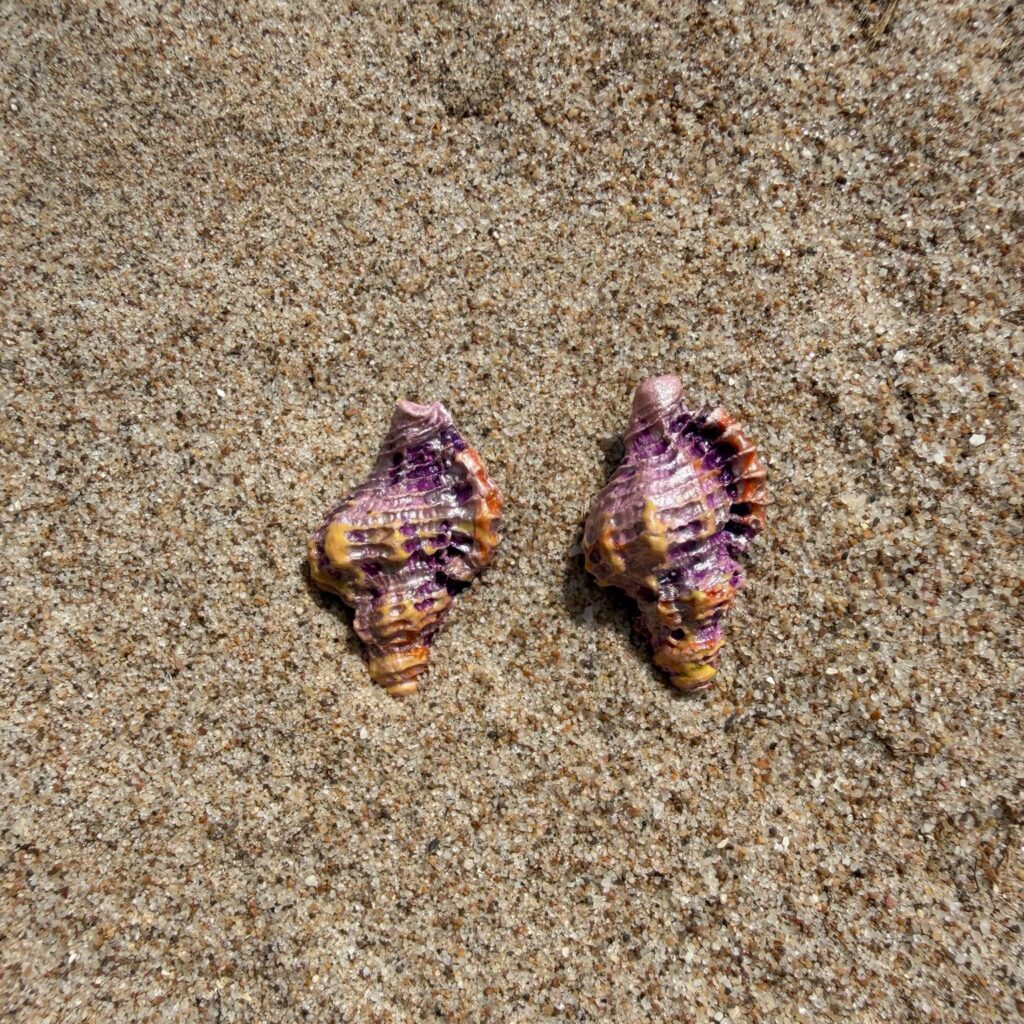 Pendientes Marisa