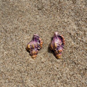 Pendientes Marisa
